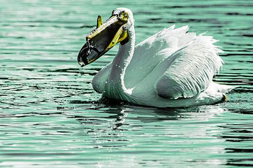 Hungry Pelican Captures Salamander For Breakfast (Green Tint)