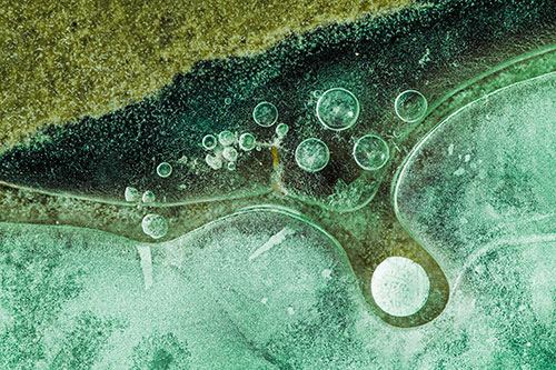 Ice Bubbles Among Frozen Soil Crevice (Green Tint)