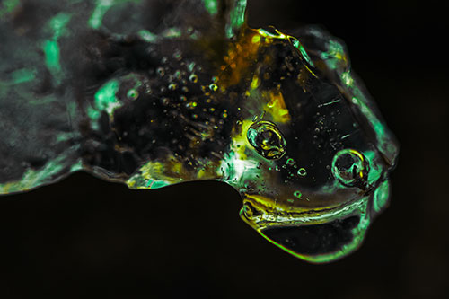 Joyful Frozen Bubble Eyed River Ice Face Creature (Green Tint Photo)