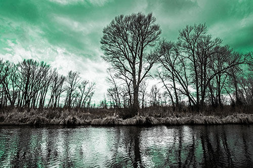 Leafless Trees Cast Reflections Along River Water (Green Tint Photo)
