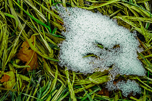 Miserable Slanted Grass Eyed Snow Face (Green Tint)