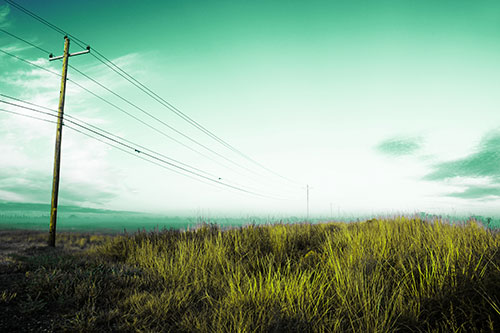 Powerlines Descend Among Foggy Prairie (Green Tint Photo)