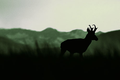 Pronghorn Silhouette Across Mountain Range (Green Tint Photo)