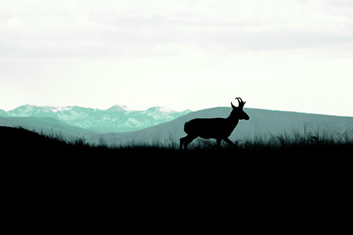Pronghorn Silhouette On The Prowl (Green Tint)