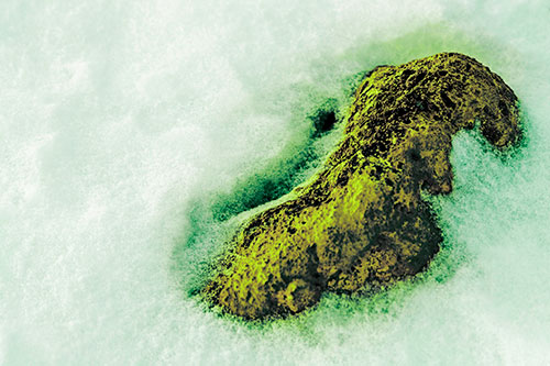 Rock Emerging From Melting Snow (Green Tint Photo)