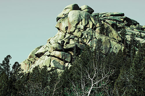 Rock Formations Rising Above Treeline (Green Tint Photo)