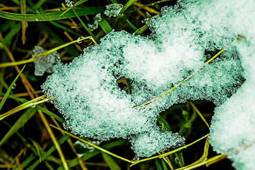 Sad Melting Grass Tangled Snow Face (Green Tint)