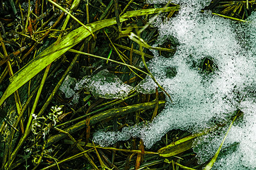 Sad Mouth Melting Ice Face Creature Among Soggy Grass (Green Tint Photo)