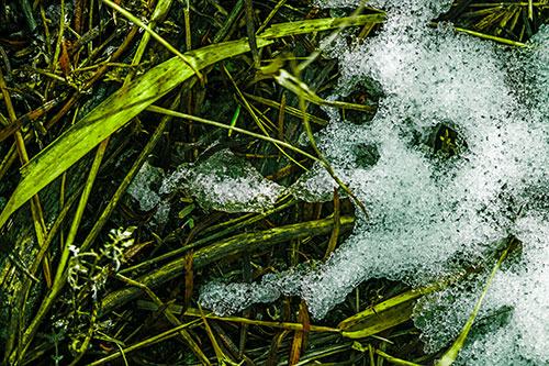 Sad Mouth Melting Ice Face Creature Among Soggy Grass (Green Tint)