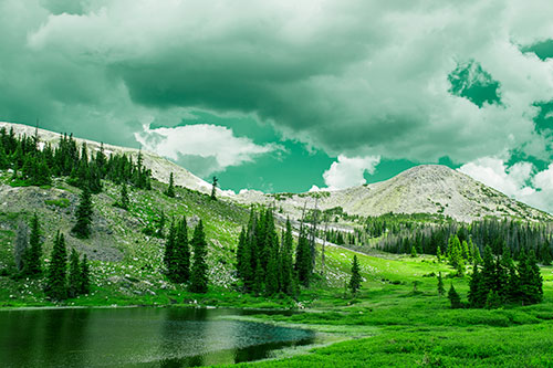 Scattered Trees Along Mountainside (Green Tint)