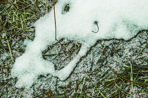 Screaming Stick Eyed Snow Face Among Grass (Green Tint)