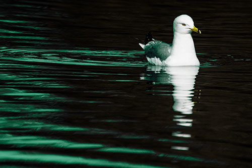 Seagull Floating Among Illuminated Rippling Water (Green Tint)