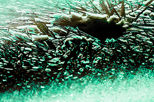 Shattered Ice Crystals Surround Water Hole (Green Tint Photo)