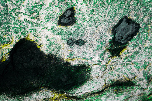 Shocked Puddle Face Drying Among Rock Surface (Green Tint Photo)
