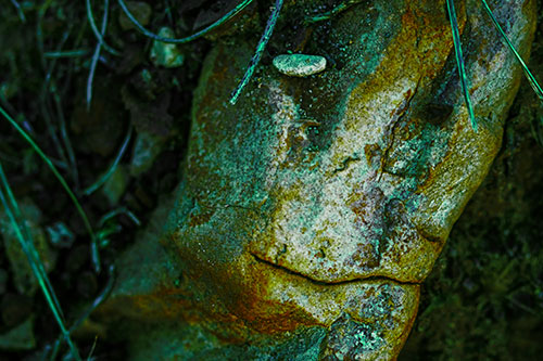 Smirking Battered Rock Face (Green Tint)