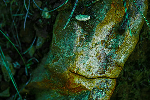 Smirking Battered Rock Face (Green Tint Photo)