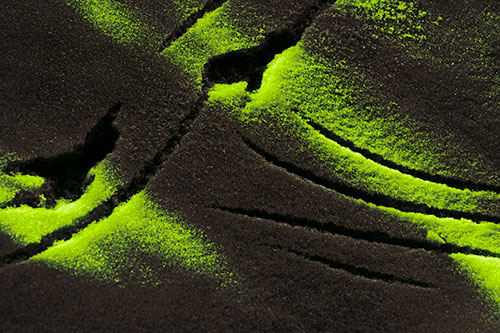 Snowy Bird Footprint Claw Marks (Green Tint Photo)
