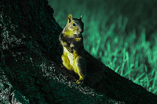 Standing Squirrel Poses Among Sloping Tree Stump (Green Tint)
