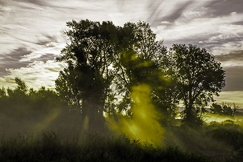 Sunlight Rays Burst Through Fog Surrounded Trees (Green Tint Photo)