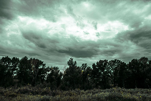 Thunderstorm Clouds Brewing Above Tree Line (Green Tint)