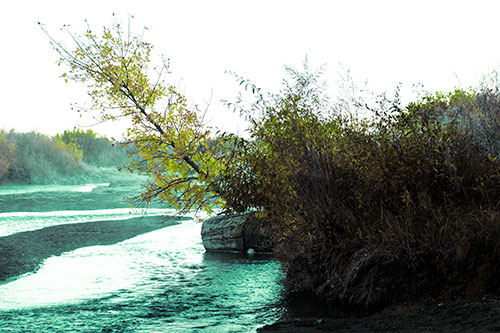 Tilted Fall Tree Over Flowing River (Green Tint Photo)