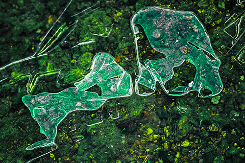 Translucent Frozen Big Eyed Alien Ice Bubble Figure Atop River (Green Tint Photo)