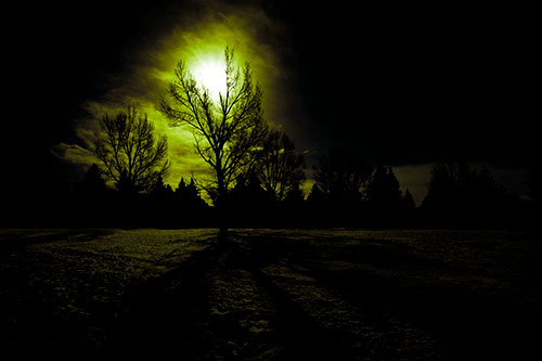 Tree Silhouette Holds Sun Among Darkness (Green Tint Photo)