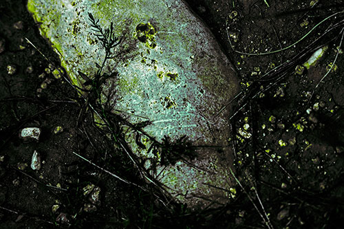 Tribal Mask Plant Faced Rock (Green Tint Photo)