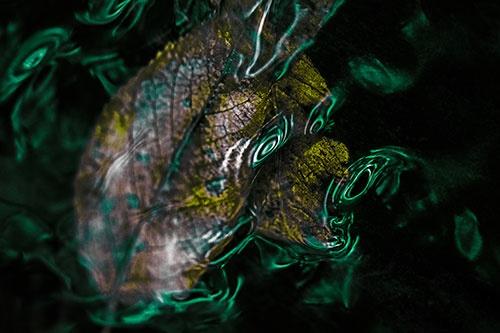 Water Ripple Faced Leaf In Submerged Trance (Green Tint)
