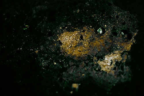 Wide Eyed Oil Demon Face Floating Atop Water (Green Tint)