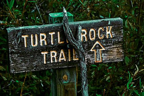 Wooden Turtle Rock Trail Sign (Green Tint Photo)