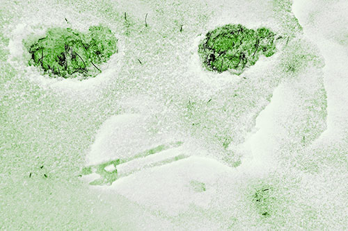 Beak Mouthed Footprint Face Among Snow (Green Tone)