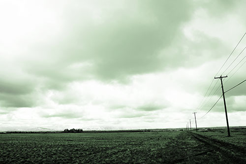 Bleak Clouded Sky Consumes Powerline Prairie (Green Tone Photo)