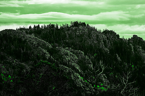 Cloudy Summit Trailhead Mountain Top (Green Tone Photo)