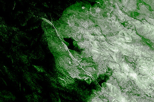 Cracking Demonic Ice Face Pig (Green Tone Photo)