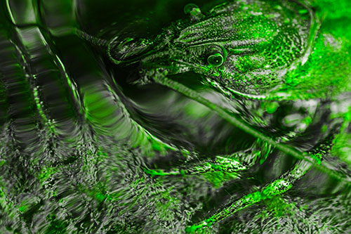 Crayfish Swims Against Rippling Water (Green Tone)