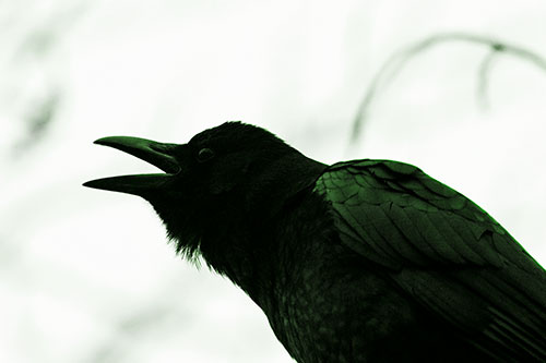 Crow Cawing Into Fog Filled Sky (Green Tone Photo)