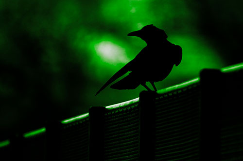 Crow Silhouette Atop Guardrail (Green Tone Photo)