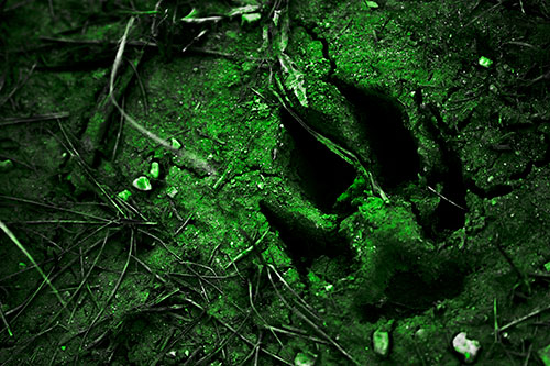 Deep Muddy Dog Footprint (Green Tone Photo)