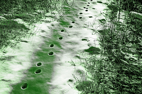 Deep Snow Animal Footprint Markings (Green Tone)
