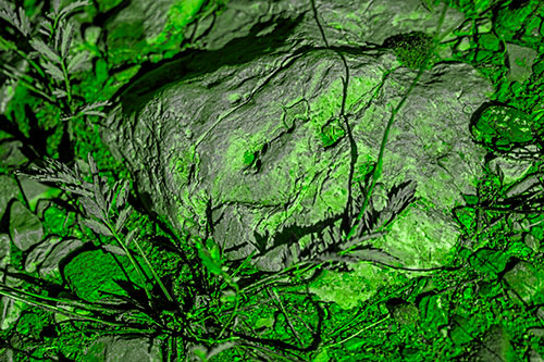 Demonic Leaf Mouthed Rock Face Snarling Among Dirt (Green Tone)