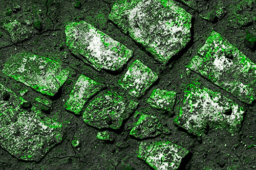 Dirt Covered Stepping Stones (Green Tone Photo)