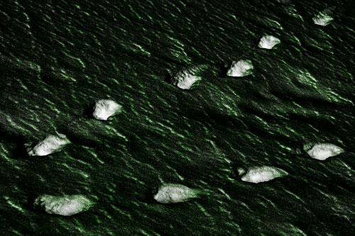 Distancing Snow Footprints (Green Tone)
