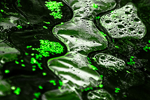 Distorted Plastic Bubble Face Floating Atop Water (Green Tone)