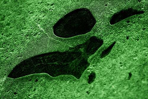 Distorted Skull Face Within Frozen Ice (Green Tone Photo)