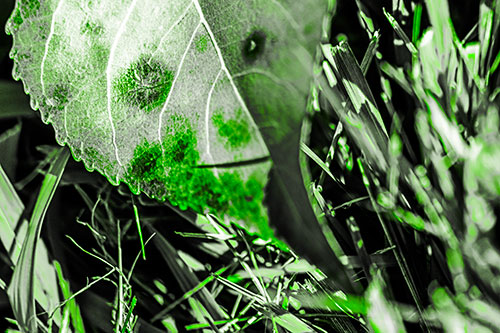 Eye Winking Shadow Smirking Leaf Face (Green Tone)