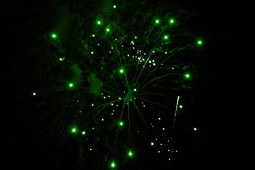 Firework Light Orbs Free Falling After Explosion (Green Tone Photo)