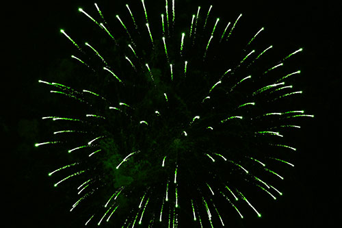 Firework Star Trails Vaporize Among Night Sky (Green Tone Photo)