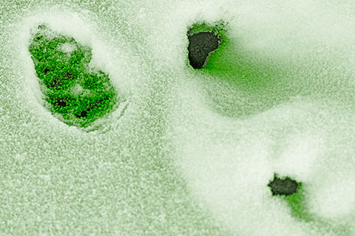 Footprint Eye Snow Face Atop Rock Surface (Green Tone)