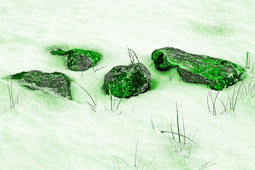 Four Big Rocks Buried In Snow (Green Tone Photo)